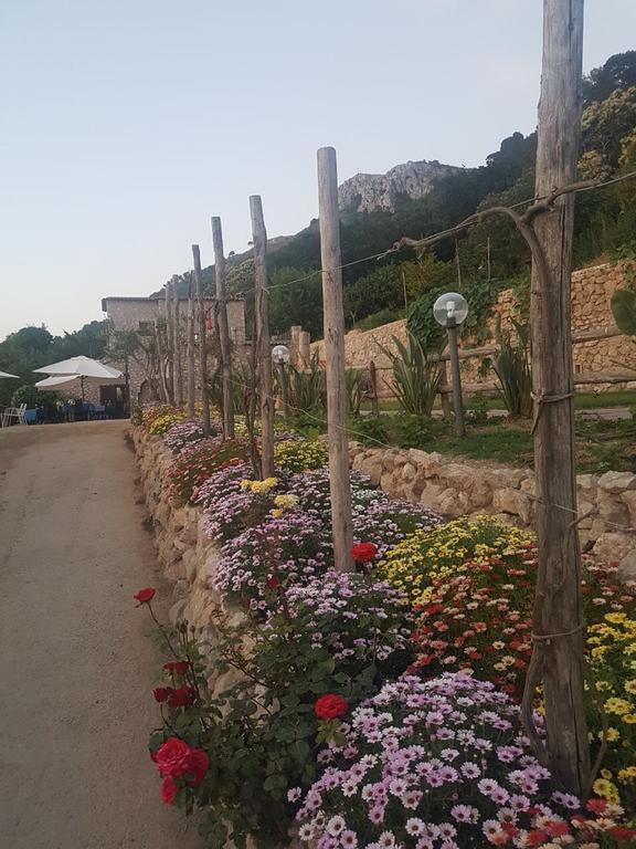 Agriturismo Del Sole Villa Anacapri  Exterior photo