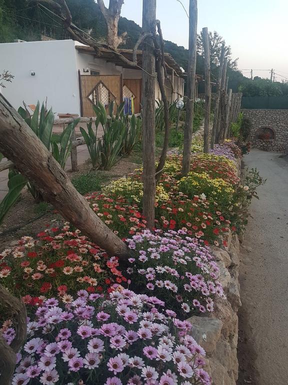 Agriturismo Del Sole Villa Anacapri  Exterior photo